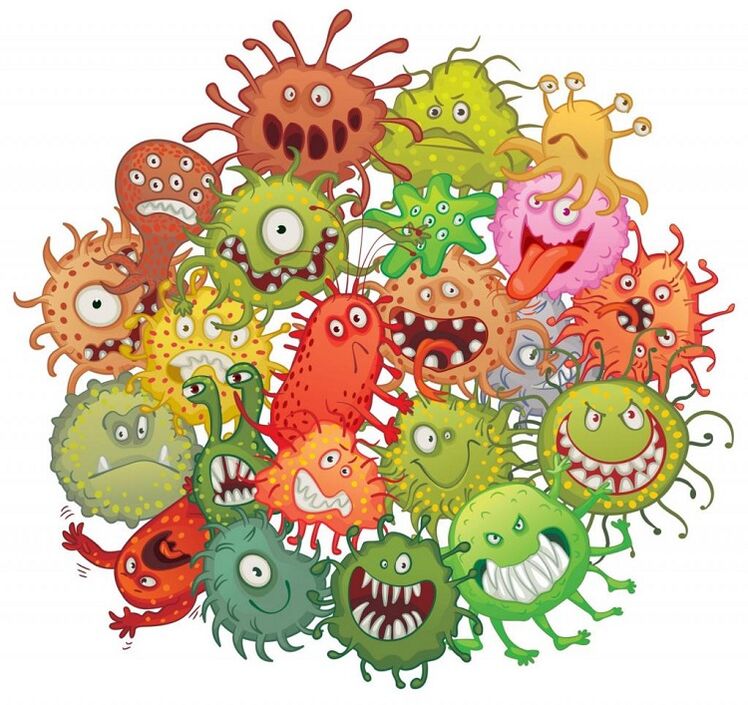 microbios humanos y gusanos cómo eliminar
