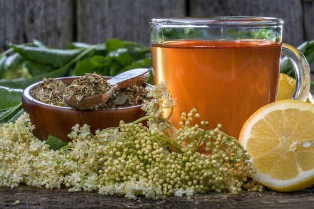 té de hierbas para la prevención de parásitos