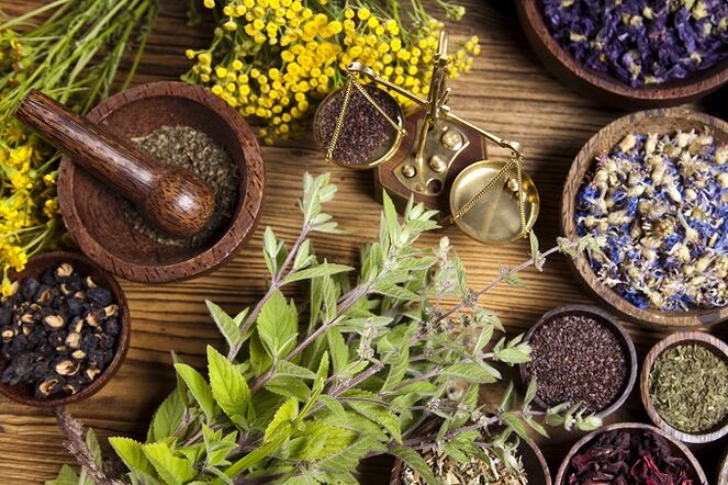 Hierbas para eliminar los parásitos del cuerpo.