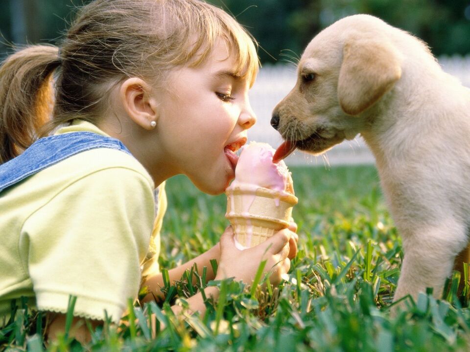 Niña y perro comen helado y se infectan con parásitos