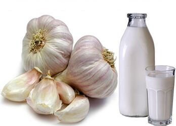 leche y ajo para los parásitos